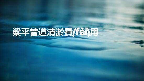 梁平管道清淤費(fèi)用一覽：為何價(jià)格差異如此之大？ - 副本